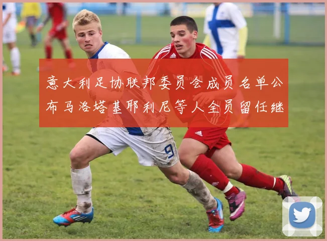 意大利足协联邦委员会成员名单公布马洛塔基耶利尼等人全员留任继续服务