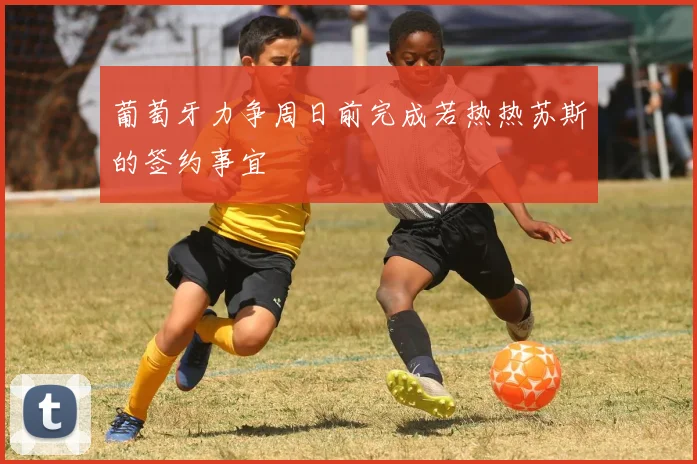 葡萄牙力争周日前完成若热热苏斯的签约事宜